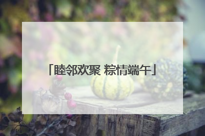 睦邻欢聚 粽情端午