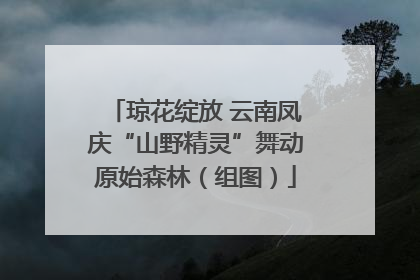 琼花绽放 云南凤庆“山野精灵”舞动原始森林（组图）