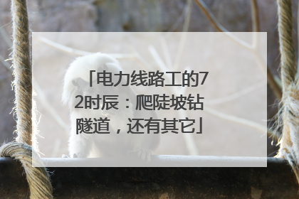 电力线路工的72时辰：爬陡坡钻隧道，还有其它