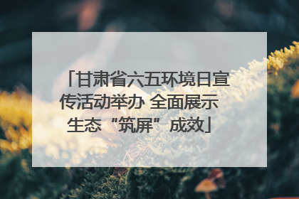 甘肃省六五环境日宣传活动举办 全面展示生态“筑屏”成效