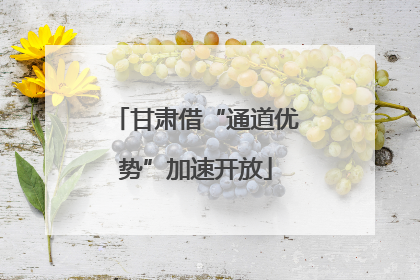 甘肃借“通道优势”加速开放