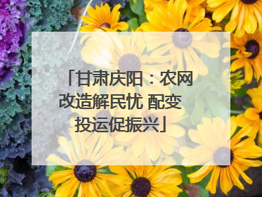 甘肃庆阳：农网改造解民忧 配变投运促振兴
