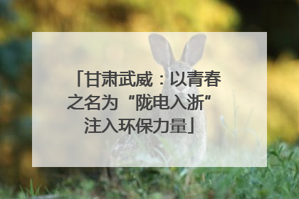 甘肃武威：以青春之名为“陇电入浙”注入环保力量