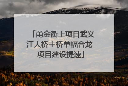 甬金衢上项目武义江大桥主桥单幅合龙 项目建设提速