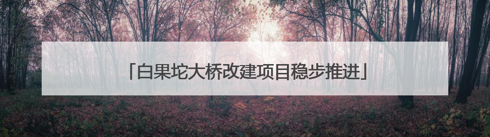 白果坨大桥改建项目稳步推进