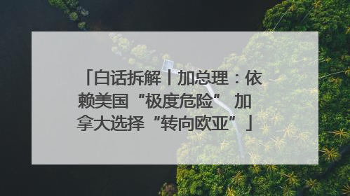 白话拆解丨加总理：依赖美国“极度危险” 加拿大选择“转向欧亚”