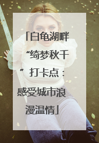 白龟湖畔“绮梦秋千”打卡点：感受城市浪漫温情