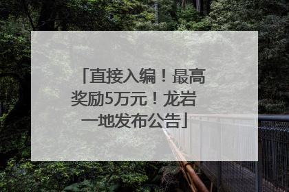 直接入编！最高奖励5万元！龙岩一地发布公告