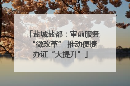 盐城盐都：审前服务“微改革” 推动便捷办证“大提升”
