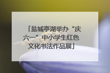 盐城亭湖举办“庆六一”中小学生红色文化书法作品展