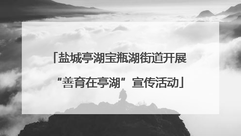 盐城亭湖宝瓶湖街道开展“善育在亭湖”宣传活动