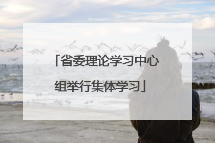省委理论学习中心组举行集体学习