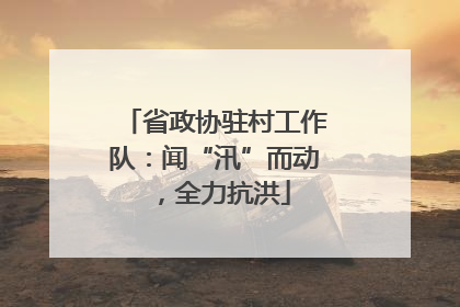 省政协驻村工作队：闻“汛”而动，全力抗洪