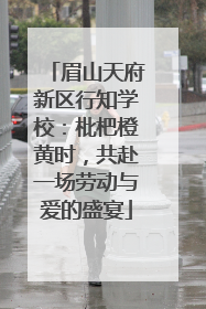 眉山天府新区行知学校：枇杷橙黄时，共赴一场劳动与爱的盛宴