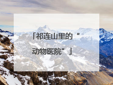 祁连山里的“动物医院”