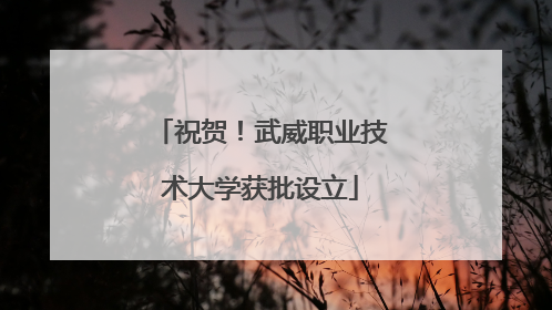 祝贺！武威职业技术大学获批设立
