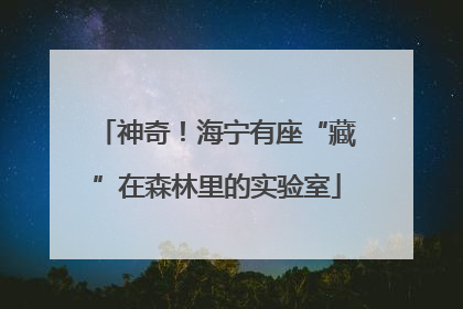 神奇！海宁有座“藏”在森林里的实验室
