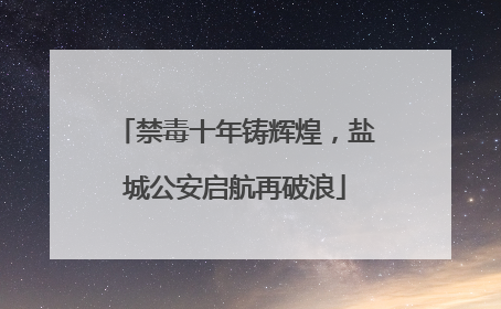 禁毒十年铸辉煌，盐城公安启航再破浪