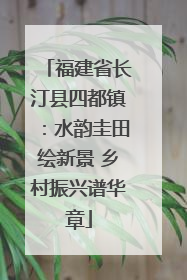 福建省长汀县四都镇：水韵圭田绘新景 乡村振兴谱华章