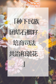 种下民族团结石榴籽 培育司法共治和谐花