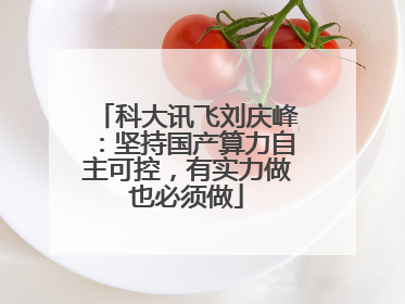 科大讯飞刘庆峰：坚持国产算力自主可控，有实力做也必须做