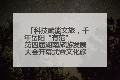 科技赋能文旅，千年岳阳“有范”——第四届湖南旅游发展大会开幕式暨文化旅游推介会侧记