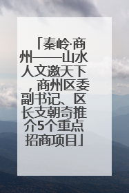 秦岭·商州——山水人文邀天下，商州区委副书记、区长支朝奇推介5个重点招商项目
