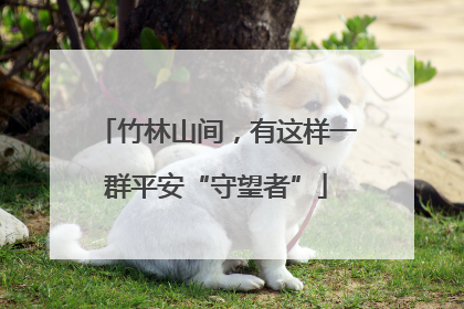 竹林山间，有这样一群平安“守望者”