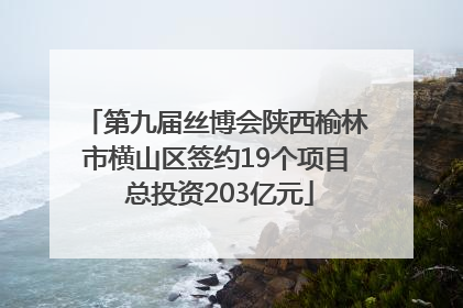 第九届丝博会陕西榆林市横山区签约19个项目 总投资203亿元