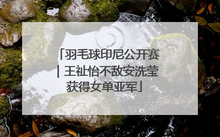 羽毛球印尼公开赛｜王祉怡不敌安洗莹 获得女单亚军