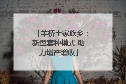 羊桥土家族乡：新型套种模式 助力增产增收