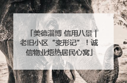 美德淄博 信用八景｜老旧小区“变形记”！诚信物业焐热居民心窝