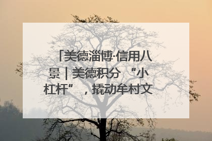 美德淄博·信用八景｜美德积分 “小杠杆”，撬动牟村文明 “大能量”
