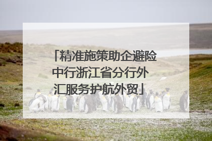 精准施策助企避险 中行浙江省分行外汇服务护航外贸