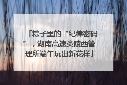 粽子里的“纪律密码”，湖南高速炎陵西管理所端午玩出新花样