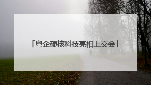 粤企硬核科技亮相上交会