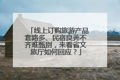 线上订购旅游产品套路多、民宿良莠不齐难甄别，来看省文旅厅如何回应？