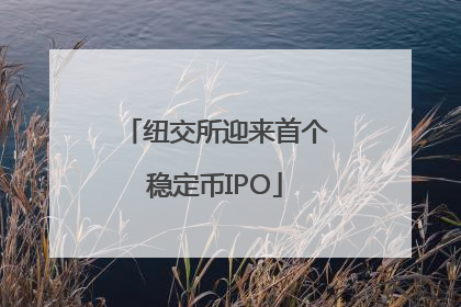 纽交所迎来首个稳定币IPO