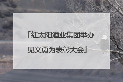 红太阳酒业集团举办见义勇为表彰大会
