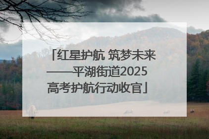 红星护航 筑梦未来——平湖街道2025高考护航行动收官