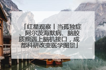 红星观察丨当孤独症、阿尔茨海默病、脑胶质瘤遇上脑机接口，成都科研改变医学图景
