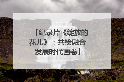 纪录片《绽放的花儿》：共绘融合发展时代画卷