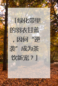 绿化带里的羽衣甘蓝，因何“逆袭”成为茶饮新宠？