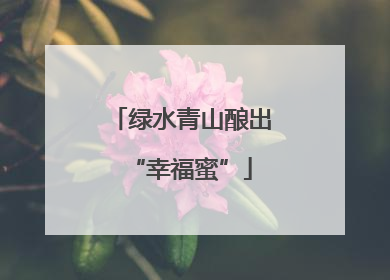 绿水青山酿出“幸福蜜”