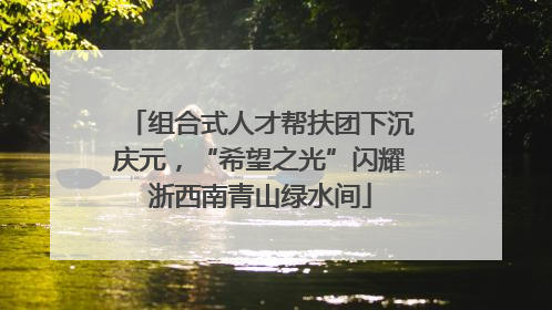 组合式人才帮扶团下沉庆元，“希望之光”闪耀浙西南青山绿水间