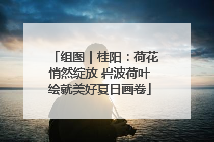 组图｜桂阳：荷花悄然绽放 碧波荷叶绘就美好夏日画卷