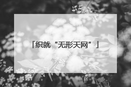 织就“无形天网”
