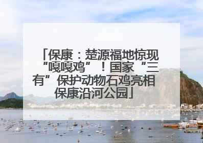 保康：楚源福地惊现“嘎嘎鸡”！国家“三有”保护动物石鸡亮相保康沿河公园