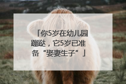 你5岁在幼儿园蹦跶，它5岁已准备“娶妻生子”