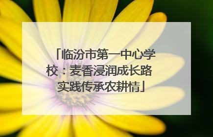 临汾市第一中心学校：麦香浸润成长路 实践传承农耕情